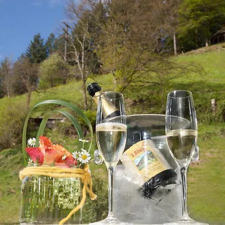 3 Könige Oberwolfach
